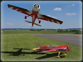 SU29