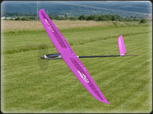 e-Hawk