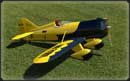 Gee Bee Y