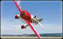 Gee Bee Y