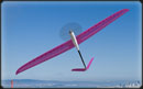 e-Hawk